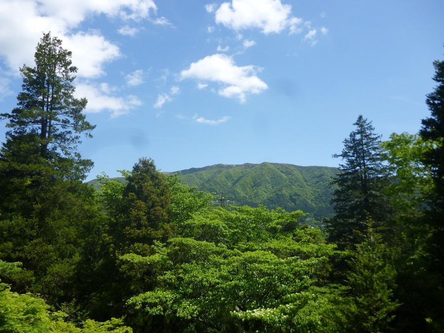 Hotel Kaze No Ne Hakone Exterior foto